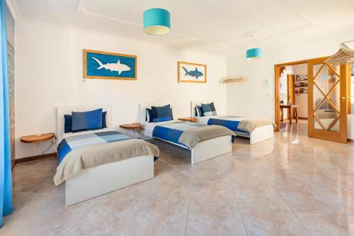 ทัศนียภาพภายนอกโรงแรม, Rex Surf House in ลูรินฮา