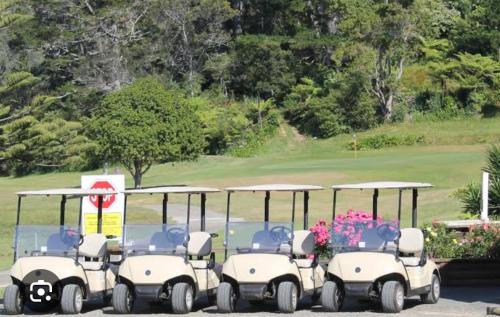 Stagger Inn - Queen room