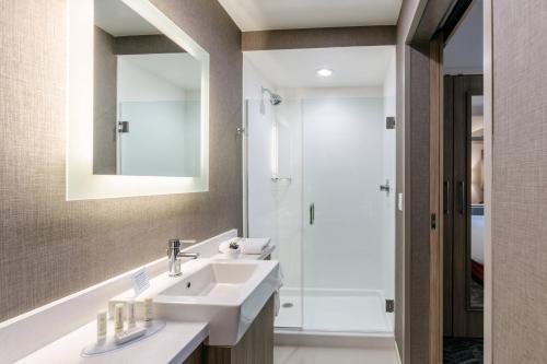 SpringHill Suites by Marriott Columbia - image 9