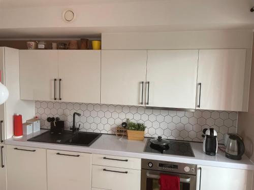 Seaview Noblessner harbour apartment, 8 min to downtown, Tallinn (photo 6)