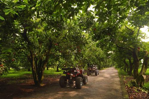 บรรยากาศธรรมชาติสวยงาม