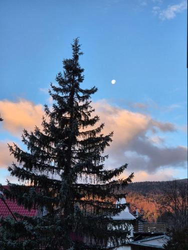 منظر, Готель "Yaro" in Yaremche