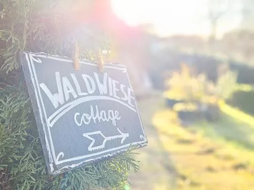 WALD WIESE cottage in Kurort Steinbach-Hallenberg, Deutschland