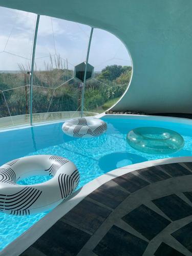 Swimming pool, Iconic & Curvaceous Beach House in Waikanae