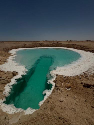 The Green Siwa Hotel in ซีวา