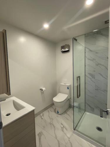 Urban Auckland Sanctuary in جبل ألبرت