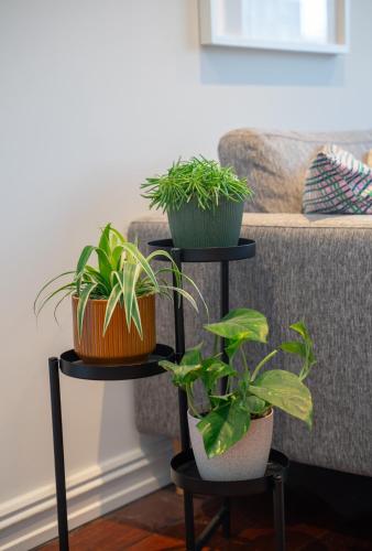 Apartment in Gamle Oslo, Oslo (photo 6)