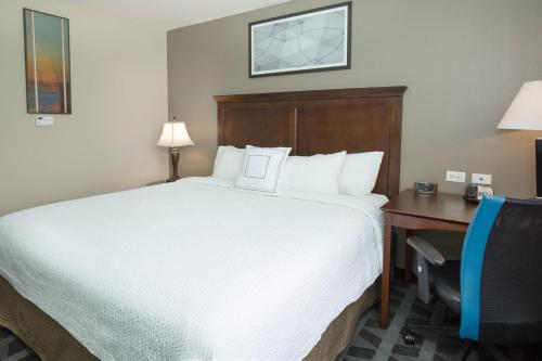 One-Bedroom King Suite with Sofa Bed