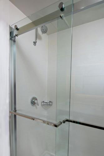 SpringHill Suites Houston Medical Center / NRG Park - image 3