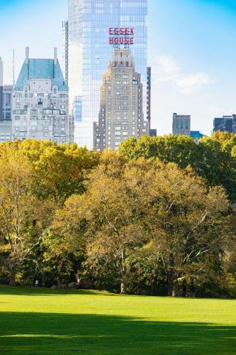 JW Marriott Essex House New York, New York (foto 5)