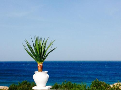 Playa del Mar - Adults Only - image 6