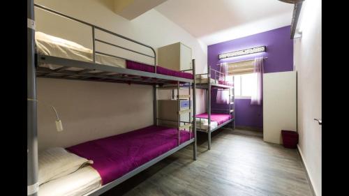 Joey's Hostel Delhi