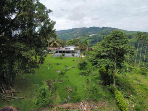 Garden, Finca la Irlanda in La Manuelita