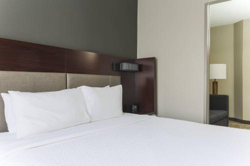 King Suite with Sofa Bed image 9
