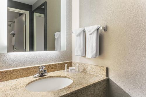 Double Suite with Sofa Bed image 8