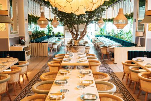 630262611 JW Marriott Hotel Mexico City Polanco