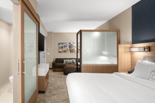 SpringHill Suites by Marriott Jackson, Jackson (fotografie 7)