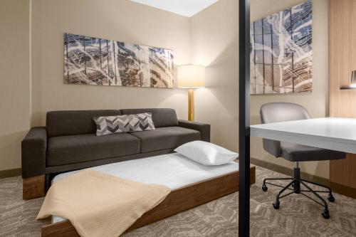 SpringHill Suites by Marriott Jackson, Jackson (fotografie 8)