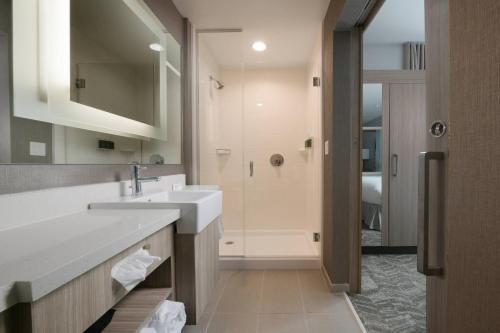 SpringHill Suites Texas City - image 11