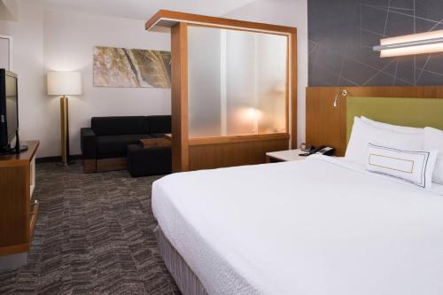 SpringHill Suites by Marriott Huntsville Downtown, Huntsville (fotografie 10)