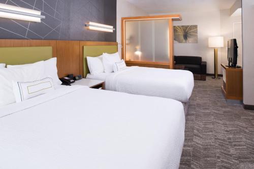 SpringHill Suites by Marriott Huntsville Downtown, Huntsville (fotografie 9)