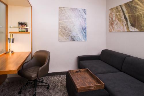 SpringHill Suites by Marriott Huntsville Downtown, Huntsville (fotografie 8)