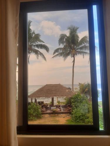 Tahini and Friends Surf, Yoga & Wellness in Ahangama