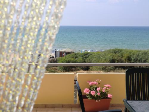  Case Vacanze C M Windsurf in Alcamo Marina