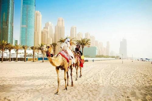 Studio near beach and Metro in Dubai Marina Z1003, Dubai (Foto 4)