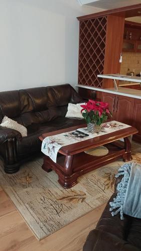 Apartament Przy wąwozie