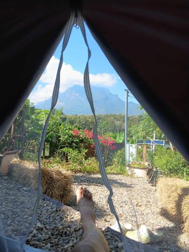 Samatha Camper Samatha Camper