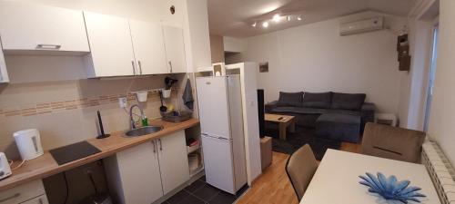 貝爾格勒 Apartman EXPO Surcin 4星级 单人房 大堂