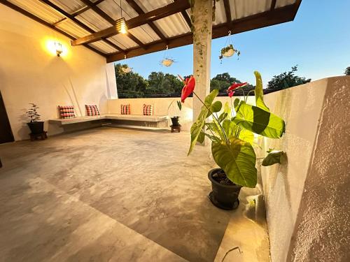 Double Room with Balcony image 9