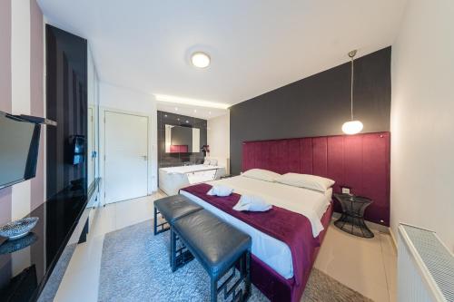 PLAN Deluxe - Romantic Excape with Whirpool Tub Niš, centar, FREE parking, Niš (foto 10)