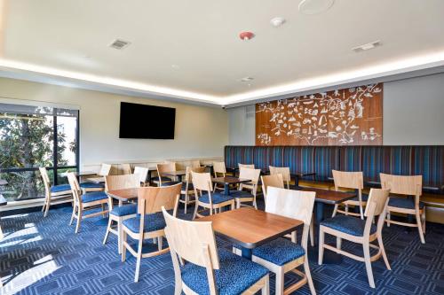 TownePlace Suites Dallas/Lewisville - image 10