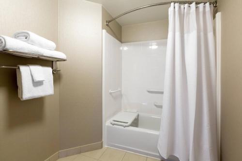 SpringHill Suites Indianapolis Fishers - image 14