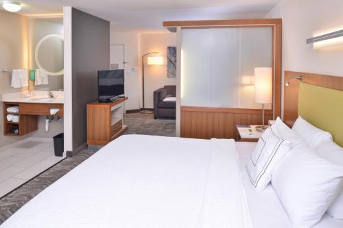 King Studio Suite with Sofa Bed and Adapted Tub - Mobility and Hearing Accessible