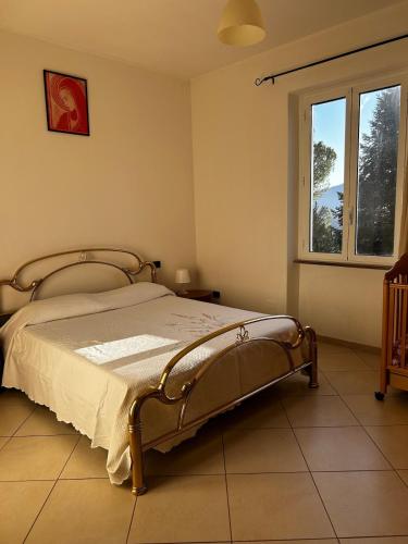 Le camelie 2 di Francesca 5