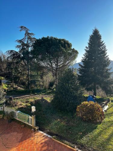 Le camelie 2 di Francesca 3