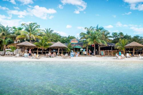 Attività, Paradise Beach Hotel in Isola Roatan