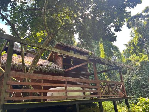 Lodge Ti Zaboka , SPA Privatif in Les Abymes