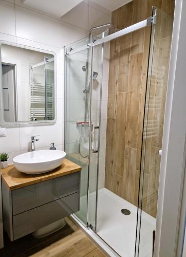 Apartament w Szklarskiej Porębie - Ostoja Parku Narodowego, Szklarska Poręba (zdjęcie 3)
