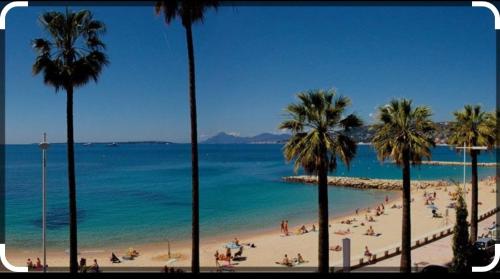 studio 30m2 2 steps from everything in Avenue de Cannes