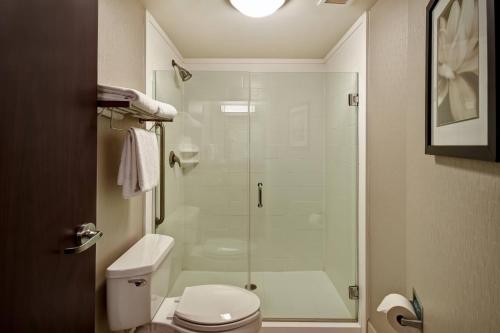 SpringHill Suites Louisville Airport - image 6