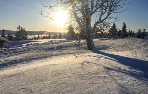 Utvendig, Stunning Home In Sjusjøen With Sauna in Sjusjøen