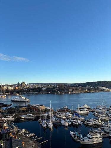 Tjuvholmen gem with rooftop terrace and parking, Oslo (photo 2)
