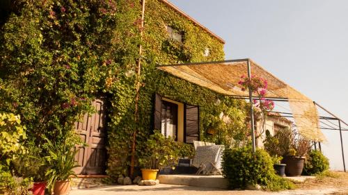 Case Troccoli gîte à louer San Carlo