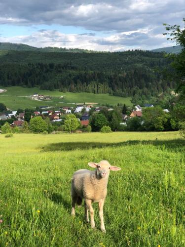 Áčko, Oščadnica (foto 9)