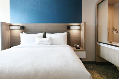 SpringHill Suites by Marriott Dallas DFW Airport South/CentrePort in DFW Airport