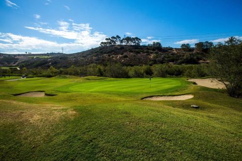 The Westin Carlsbad Resort & Spa - image 12